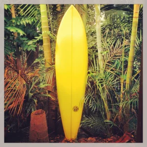 6'10'' Yellow Single FIn