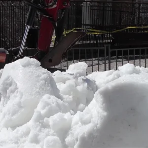 The Red Bull Foret Urbaine