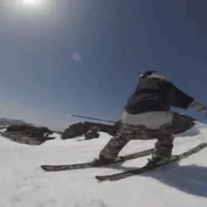 Switch 5 - Tanner Hall