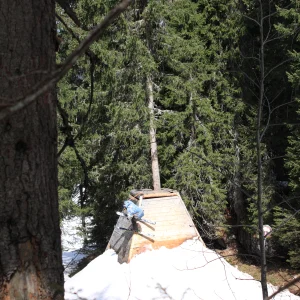 Wallride between the trees