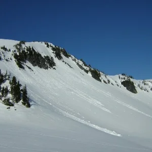 Panerama point on Mt Rainier