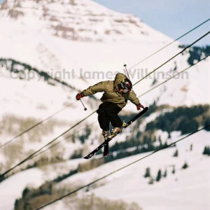 Awesome Picture of a Near True Tail 3