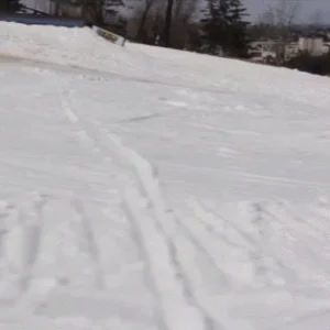 Cole Drexler Front 810