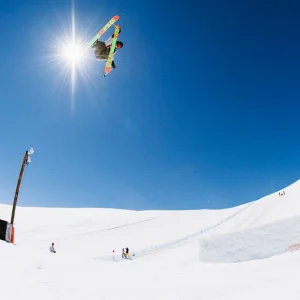 Cork 7 Nose