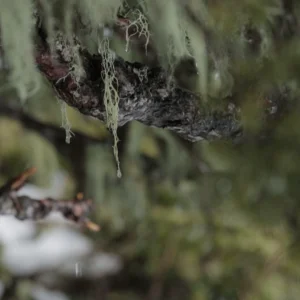 Torin Yater-Wallace at The West Coast Session 