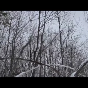 raphael desharnais 2013-2014