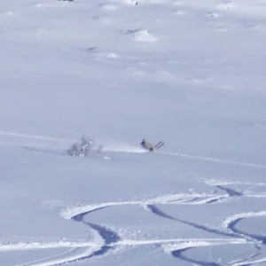 straight-line pow wheelie
