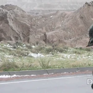 Tall T Trudays: HaTRUna Matata