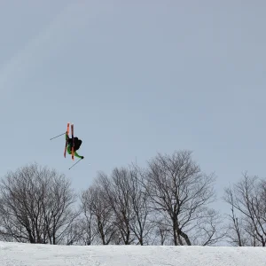 Dudemont Perspective