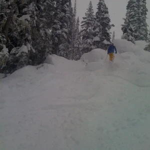pillows revelstoke