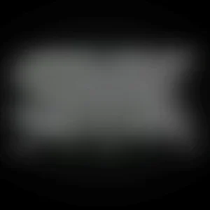 Vail Crew Rockin Out in the Park!!!