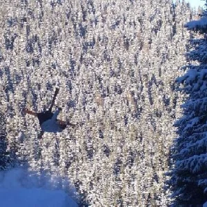 Axis Huge Tail (Sick!)