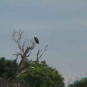 I call him Mr. poopy