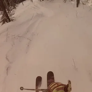 Into the Land of Happy Little Trees