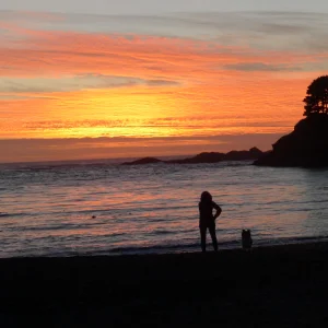 Mendocino Funsets