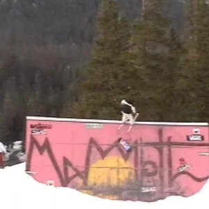 Some Wallride mmmm