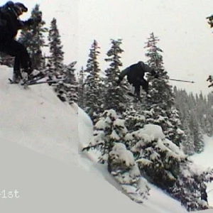 over a tree sequence