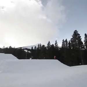 Thanksgiving with CUFST