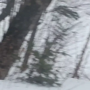 east coast  jump sesh