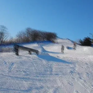 How Does One Switch-Hit