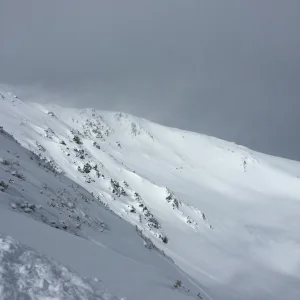 Powder