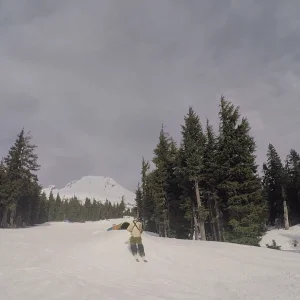 Switch Backy Off Tha Pill