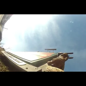 Mammoth Day off from Grand Prix