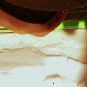 Kaare Tollefson is back