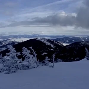 Filmerunknown 2015 Finalist Cam MacArthur