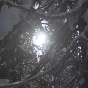 Superunknown XII Finalist Arkadii Kazakov