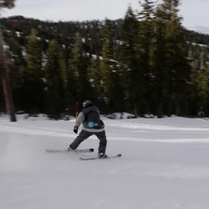 Everybody loves concussions