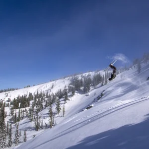 Early morning Backie