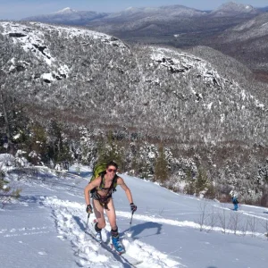 Put the "skin" in skinning