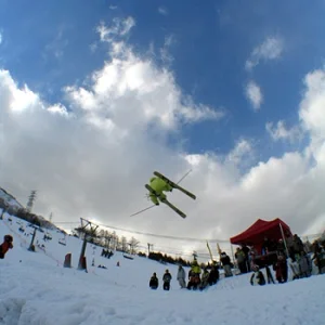 line japanese girl skier.............