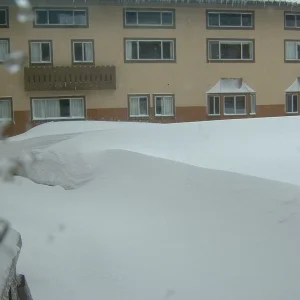 1 foot of pow overnight!!!