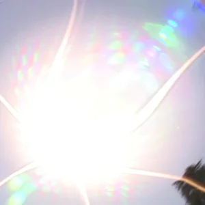 The WhisTapes - Jarrad McCarl