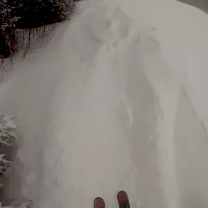 Pow day at Bretton Woods last year