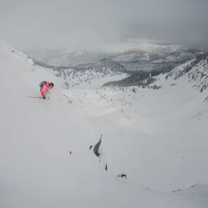 Tim Durtschi - Wolverine pow