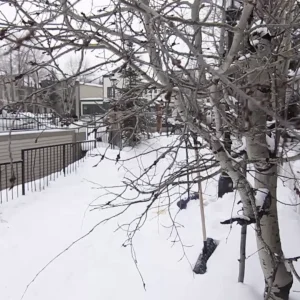 Fucked Up Fridayz- Keegan Kilbrides Debut smasher