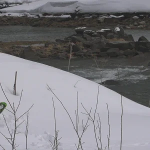 Tom Ritsch - Season Edit 2015