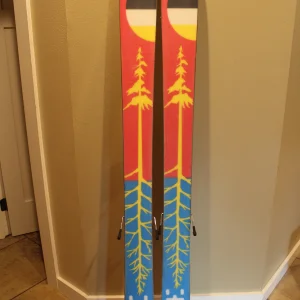 skis 