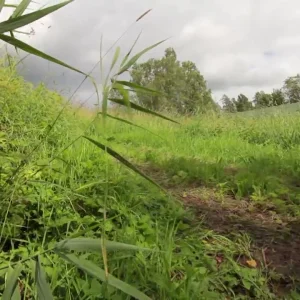 Behind the scenes & fails