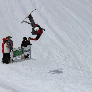 Flatspin/ Rodeo 540 Japan