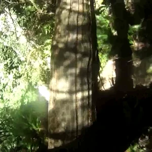 A Weekend of Cliff Jumping