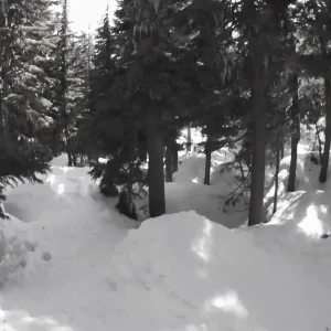 Ross Imburgia - Backflip compilation