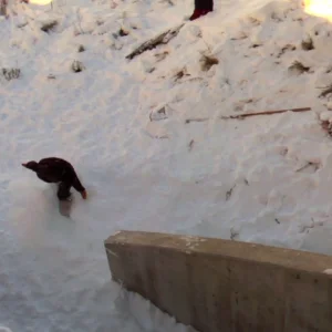 IF YA SCARED, GO TO CHUUCH ##OFFICIAL TEASER##