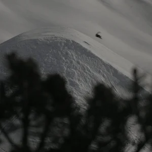 PASSENGER - Oystein Braten Zürs