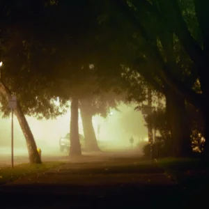 a little fog, a path, and a person