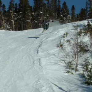 J'ai essayer de m'envoler....mais sans succes !