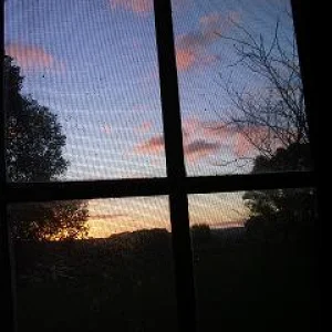 looking out the window style